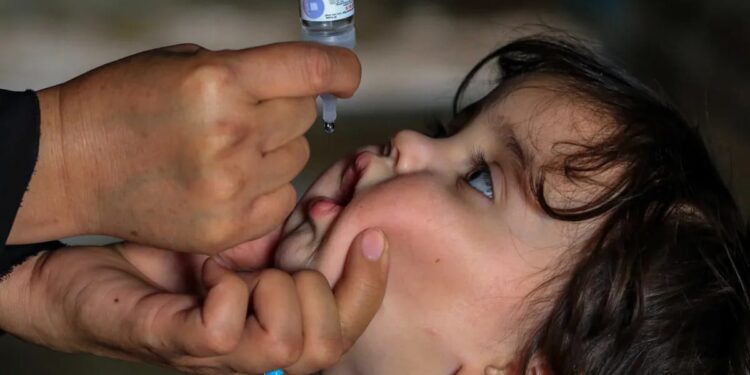 Alcaldía de Baruta realizará una jornada de vacunación gratuita: ¿cuándo será y cuáles vacunas estarán disponibles?